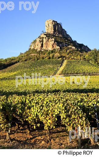 ROCHE DE SOLUTRE ET VIGNOBLE POUILLY FUISSE, ROUTE LAMARTINE, MACONNAIS,  BOURGOGNE. (71F00412.jpg)