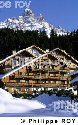 Les Alpes (73F00102.jpg)