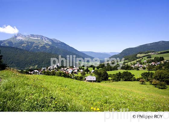 PAYSAGE AGRICOLE DE MONTAGNE, MASSIF DES BAUGES, SAVOIE. (73F01112.jpg)