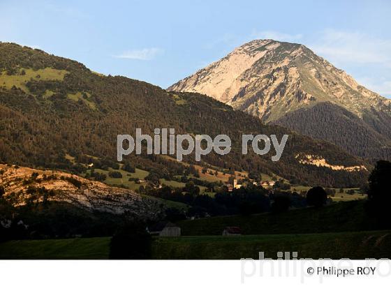 PAYSAGE AGRICOLE DE MONTAGNE, MASSIF DES BAUGES, SAVOIE. (73F01118.jpg)