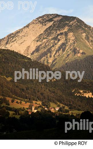PAYSAGE AGRICOLE DE MONTAGNE, MASSIF DES BAUGES, SAVOIE. (73F01119.jpg)