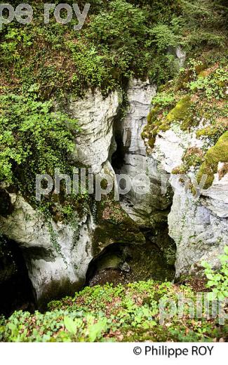 GORGES DE BELLECOMBE, PARC DES BAUGES, SAVOIE, FRANCE (73F01202.jpg)