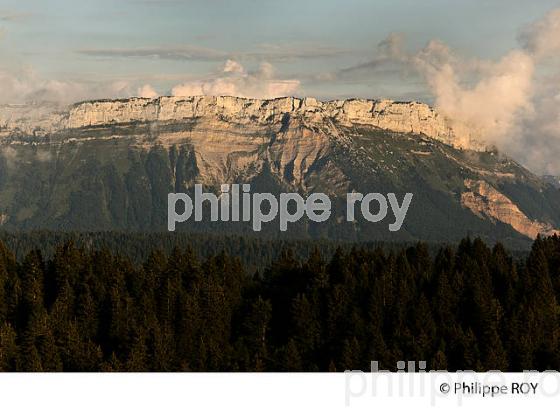 MONT REVARD, PARC DES BAUGES, SAVOIE,  FRANCE (73F01208.jpg)