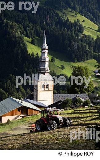 HAUTELUCE, VILLAGE DU BEAUFORTIN, SAVOIE, FRANCE (73F02215.jpg)