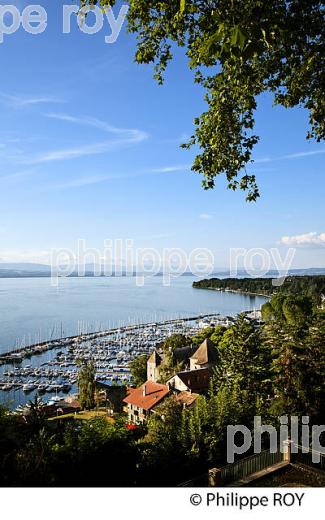 PORT, LAC ET CHATEAU DE RIVES, THONON, HAUTE-SAVOIE, FRANCE (74F02333.jpg)