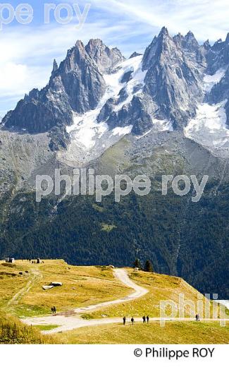RANDONNEE PEDESTRE, MASSIF DU MONT-BLANC, HAUTE-SAVOIE, FRANCE (74F03422.jpg)