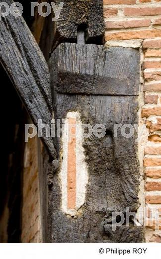 Albi - Tarn (81F02019.jpg)