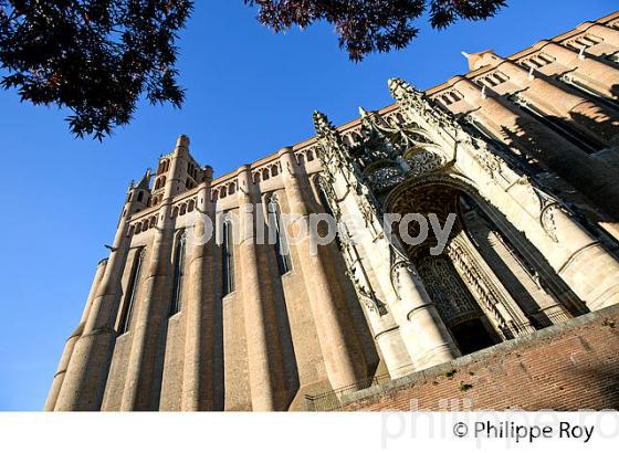 LA CATHEDRALE SAINTE-CECILE,  ALBI, TARN. (81F02928.jpg)