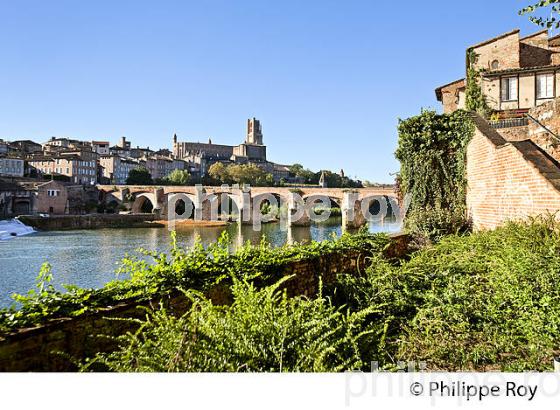 PONT VIEUX  SUR LE TARN , LA CATHEDRALE ET LA VILLE D'  ALBI, TARN. (81F03220.jpg)