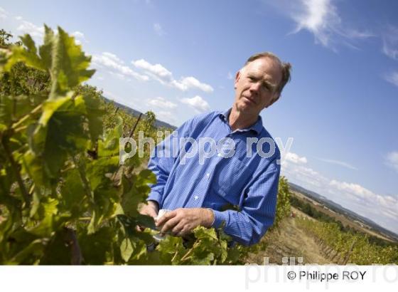 Vignoble de Gaillac - Tarn (81V00325.jpg)