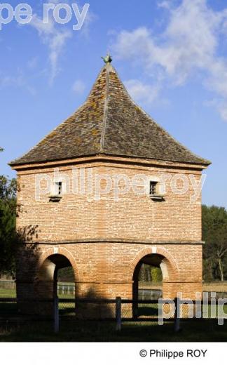 Pigeonnier - Tarn et Garonne (82F01008.jpg)