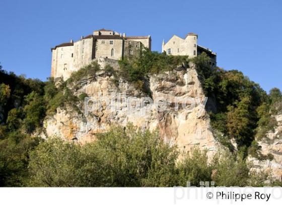 CHATEAU DU VILLAGE FORTIFIE DE BRUNIQUEL, VALLEE DE L' AVEYRON, TARN-ET-GARONNE. (82F01205.jpg)
