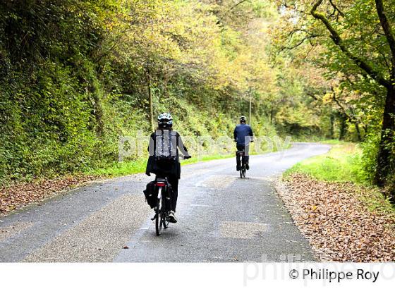 CYCLISTE,  GORGES  DE L' AVEYRON, SAINT-ANTONIN-NOBLE-VAL, TARN ET GARONNE. (82F01421.jpg)