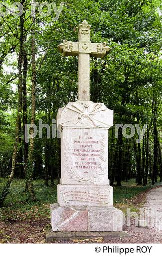 HISTOIRE DE LA VENDEE, PAYS DE LA LOIRE, FRANCE (85F00820.jpg)