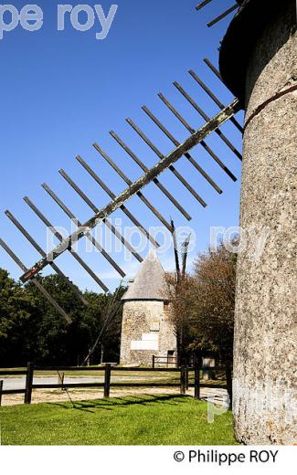 VILLE DES HERBIERS, VENDEE, FRANCE (85F02806.jpg)