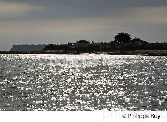 ILE DE NOIRMOUTIER, COTE ATLANTIQUE, VENDEE, FRANCE (85F03612.jpg)