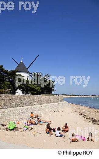 ILE DE NOIRMOUTIER, COTE ATLANTIQUE, VENDEE, FRANCE (85F03901.jpg)