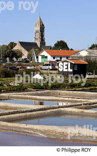 ILE DE NOIRMOUTIER, COTE ATLANTIQUE, VENDEE, FRANCE (85F04109.jpg)