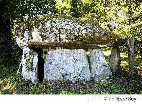 DOLMEN DE LA BORDERIE,  MEGALITHE,  MONTS DE BLOND, HAUTE-VIENNE, HAUT-LIMOUSIN. (87F00931.jpg)