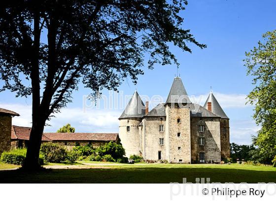 CHATEAU FORT DE BRIE, PAYS DES FEUILLARDIERS, HAUT-LIMOUSIN. (87F01232.jpg)