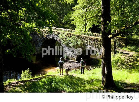 PONT ROMAN SUR LA VIENNE,  PLATEAU DE MILLEVACHES, COMMUNE DE NEDDE, HAUTE VIENNE, LIMOUSIN. (87F02136.jpg)