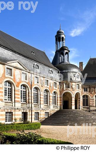LE CHATEAU DE SAINT FARGEAU,  LA PUISAYE, YONNE,  BOURGOGNE. (89F02327.jpg)
