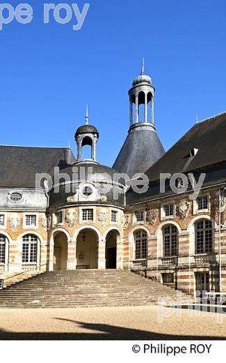 LE CHATEAU DE SAINT FARGEAU,  LA PUISAYE, YONNE,  BOURGOGNE. (89F02328.jpg)