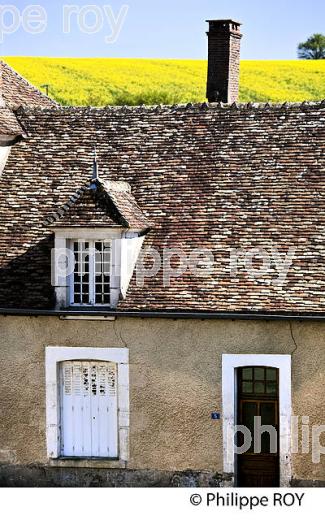LE  VILLAGE DE TREIGNY,  LA PUISAYE , YONNE, BOURGOGNE. (89F02432.jpg)