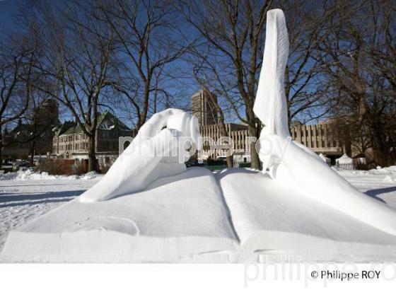 CONCOURS DE SCULPTURE SUR NEIGE, CARNAVAL DE QUEBEC (CA001237.jpg)