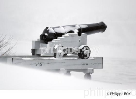 CANON , CHAMP DE BATAILLE D EQUEBEC (CA001615.jpg)
