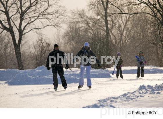 PATINAGE DE VITESSE , QUEBEC (CA001621.jpg)