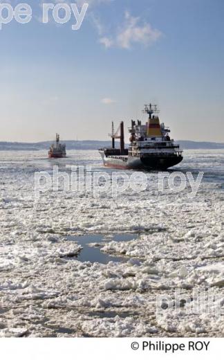 LE FLEUVE SAINT LAURENT EN HIVER (CA002032.jpg)