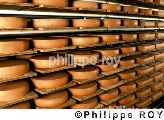Fromage - Suisse (CH000119.jpg)