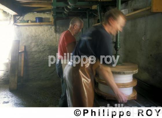 Fromage - Suisse (CH000210.jpg)