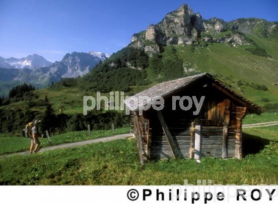 Randonne pdestre - Suisse (CH000240.jpg)