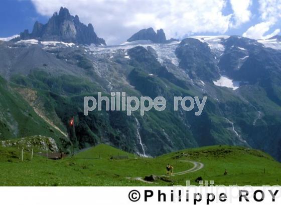 Alpes - Suisse (CH000314.jpg)