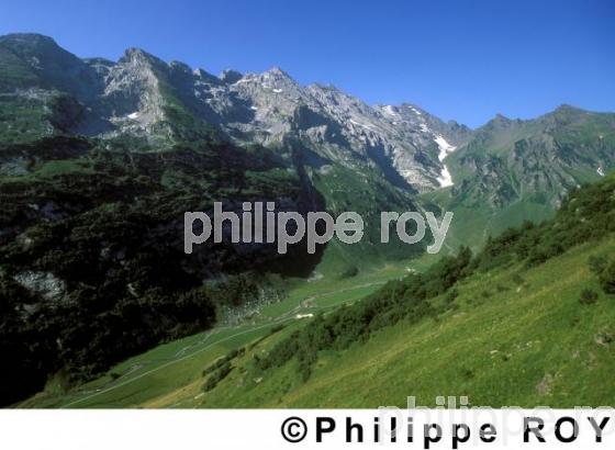 Alpes - Suisse (CH000329.jpg)