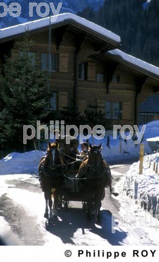 Alpes - Suisse (CH000618.jpg)