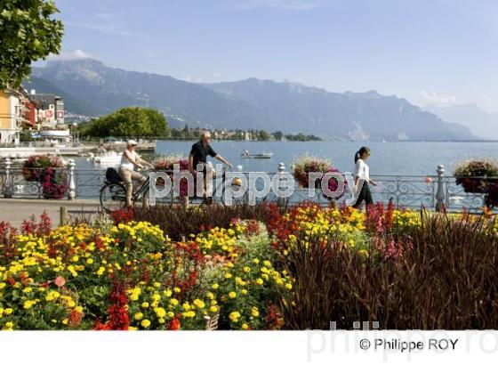 Vevey - Suisse (CH001201.jpg)
