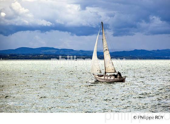 LAC DE NEUCHATEL, CANTON DE NEUCHATEL, SUISSE (CH002018.jpg)