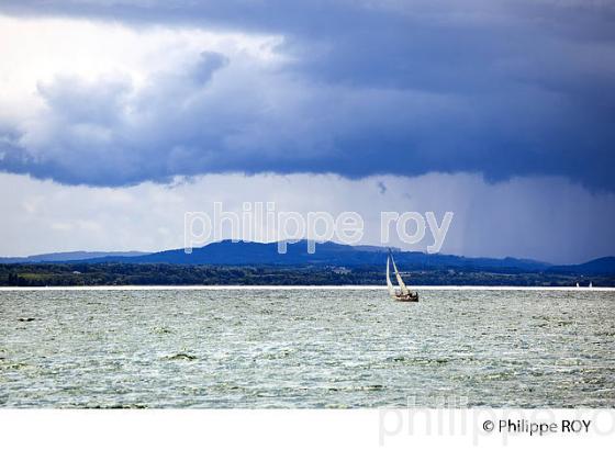 LAC DE NEUCHATEL, CANTON DE NEUCHATEL, SUISSE (CH002019.jpg)