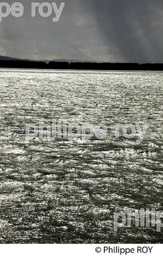 LAC DE MORAT, CANTON DE FRIBOURG, SUISSE (CH002123.jpg)