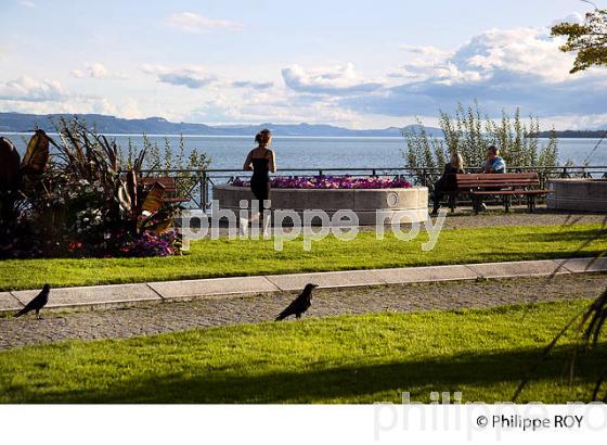 VILLE DE NEUCHATEL, CANTON DE NEUCHATEL, SUISSE (CH002504.jpg)