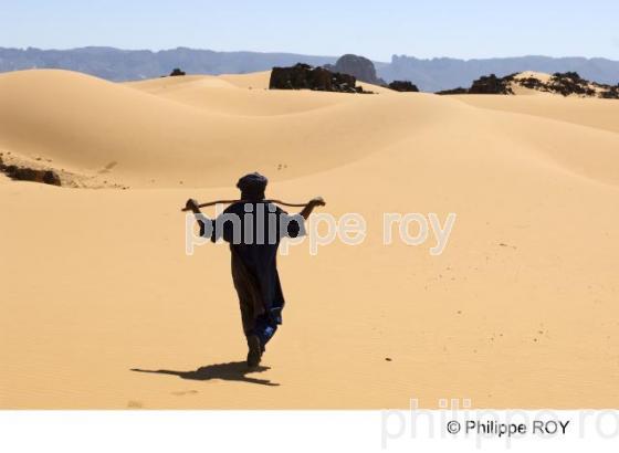 Sahara - Algrie (DZ001325.jpg)