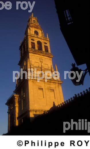 La Mezquita (ES000129.jpg)