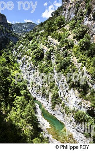LE RIO VELLOS, CANYON DE ANISCLO, PYRENEES ARAGONAISES, ESPAGNE. (ES02424.jpg)