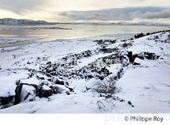 PARC NATIONAL DE THINGVELLIR,  SUDURLAND, ISLANDE (IS000330.jpg)