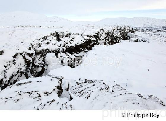 PARC NATIONAL DE THINGVELLIR,  SUDURLAND, ISLANDE (IS000334.jpg)