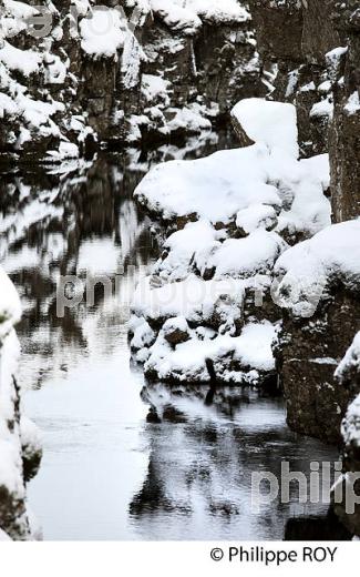 PARC NATIONAL DE THINGVELLIR,  SUDURLAND, ISLANDE (IS000402.jpg)