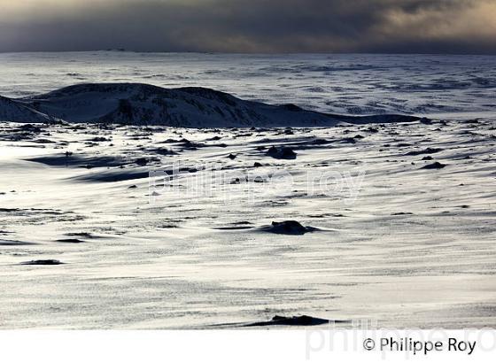 PAYSAGE DE NEIGE, SUDURLAND, ISLANDE (IS000411.jpg)